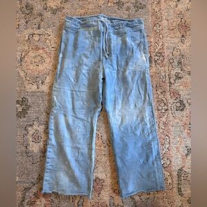 Imogene + Willie Light Blue pull on pants